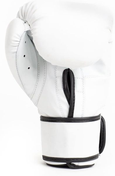 Боксерські рукавиці Everlast CORE 2 TRAINING GLOVE білий Уні L/XL P00002326 фото